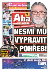 E-magazín AHA! - 31.12.2020 - CZECH NEWS CENTER a. s.