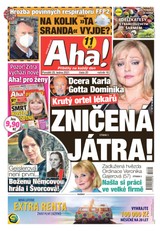 E-magazín AHA! - 25.1.2021 - CZECH NEWS CENTER a. s.