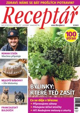 E-magazín Receptář 3/2021 - VLTAVA LABE MEDIA a.s.