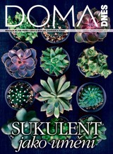 E-magazín DOMA DNES - 24.2.2021 - MAFRA, a.s.