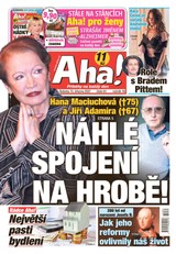 E-magazín AHA! - 13.3.2021 - CZECH NEWS CENTER a. s.