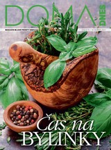 E-magazín DOMA DNES - 14.4.2021 - MAFRA, a.s.