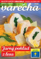 E-magazín Varecha 16. 4. 2021 - OUR MEDIA SR a. s.