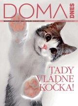 E-magazín DOMA DNES - 28.4.2021 - MAFRA, a.s.