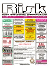 E-magazín Risk 19/2021 - Risk