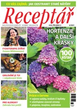 E-magazín Receptář 6/2021 - VLTAVA LABE MEDIA a.s.