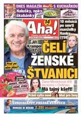 E-magazín AHA! - 27.5.2021 - CZECH NEWS CENTER a. s.