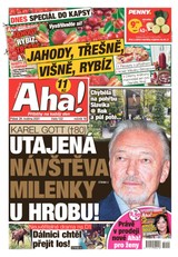 E-magazín AHA! - 28.5.2021 - CZECH NEWS CENTER a. s.