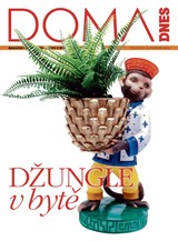 E-magazín DOMA DNES - 9.6.2021 - MAFRA, a.s.