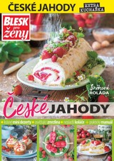 E-magazín Příloha Blesk pro ženy - 24/2021 - CZECH NEWS CENTER a. s.