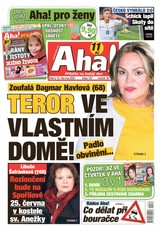 E-magazín AHA! - 16.6.2021 - CZECH NEWS CENTER a. s.