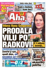 E-magazín AHA! - 28.6.2021 - CZECH NEWS CENTER a. s.