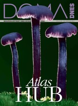 E-magazín DOMA DNES - 30.6.2021 - MAFRA, a.s.