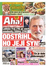 E-magazín AHA! - 11.8.2021 - CZECH NEWS CENTER a. s.