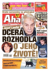 E-magazín AHA! - 13.8.2021 - CZECH NEWS CENTER a. s.