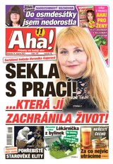 E-magazín AHA! - 14.8.2021 - CZECH NEWS CENTER a. s.
