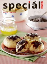 E-magazín Magazín DNES Speciál Brno a Jižní Morava - 22.10.2021 - MAFRA, a.s.