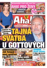 E-magazín AHA! - 23.11.2021 - CZECH NEWS CENTER a. s.