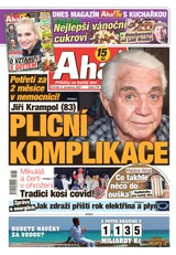 E-magazín AHA! - 2.12.2021 - CZECH NEWS CENTER a. s.