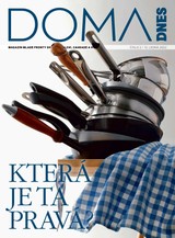 E-magazín DOMA DNES - 12.1.2022 - MAFRA, a.s.