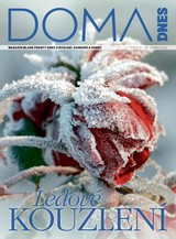E-magazín DOMA DNES - 26.1.2022 - MAFRA, a.s.