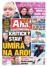 E-magazín AHA! - 11.2.2022 - CZECH NEWS CENTER a. s.