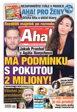 E-magazín AHA! - 25.3.2022 - CZECH NEWS CENTER a. s.