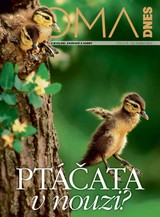 E-magazín DOMA DNES - 20.4.2022 - MAFRA, a.s.