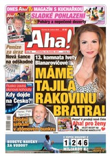 E-magazín AHA! - 28.4.2022 - CZECH NEWS CENTER a. s.