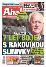 E-magazín Aha! - 21.5.2022 - CZECH NEWS CENTER a. s.