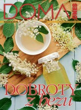 E-magazín DOMA DNES - 1.6.2022 - MAFRA, a.s.