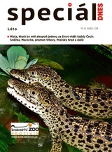 E-magazín Magazín DNES Speciál Brno a Jižní Morava - 17.6.2022 - MAFRA, a.s.