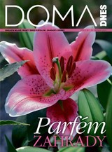 E-magazín DOMA DNES - 29.6.2022 - MAFRA, a.s.