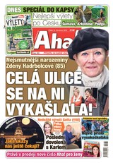E-magazín Aha! - 15.7.2022 - CZECH NEWS CENTER a. s.