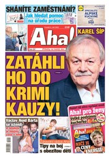 E-magazín Aha! - 5.9.2022 - CZECH NEWS CENTER a. s.