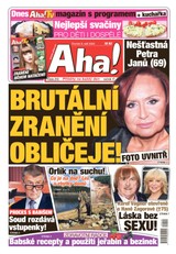 E-magazín Aha! - 8.9.2022 - CZECH NEWS CENTER a. s.