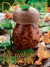 E-magazín DOMA DNES - 14.9.2022 - MAFRA, a.s.