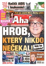 E-magazín Aha! - 8.10.2022 - CZECH NEWS CENTER a. s.