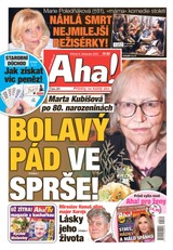 E-magazín Aha! - 9.11.2022 - CZECH NEWS CENTER a. s.