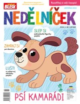 E-magazín NĚDĚLNÍČEK - 11/2022 - CZECH NEWS CENTER a. s.