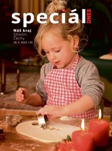 E-magazín Magazín DNES SPECIÁL Střední Čechy - 25.11.2022 - MAFRA, a.s.