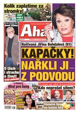 E-magazín Aha! - 26.11.2022 - CZECH NEWS CENTER a. s.