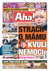 E-magazín Aha! - 8.12.2022 - CZECH NEWS CENTER a. s.