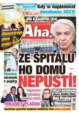 E-magazín AHA! - 31.12.2022 - CZECH NEWS CENTER a. s.