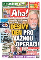 E-magazín Aha! - 11.1.2023 - CZECH NEWS CENTER a. s.