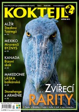 E-magazín Koktejl 5/2013 - Czech Press Group Koktejl