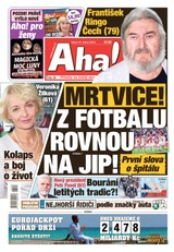 E-magazín AHA! - 31.1.2023 - CZECH NEWS CENTER a. s.