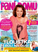 E-magazín Paní domu 8/14 - RF Hobby