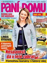 E-magazín Paní domu 7/20 - RF Hobby