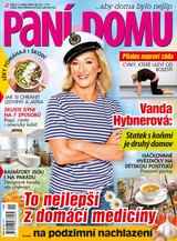E-magazín Paní domu 11/20 - RF Hobby